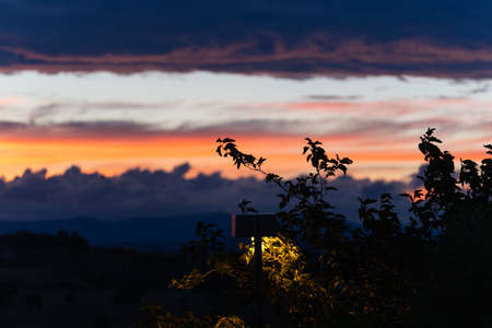 silhouette of leaves at sunset, orange sky with cloudsの写真素材