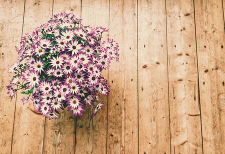 flower pot on wooden floorの写真素材