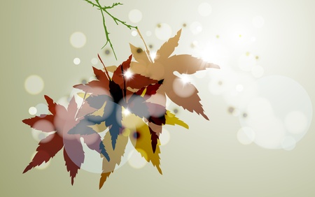 Autumn background, colorful environment leafのイラスト素材