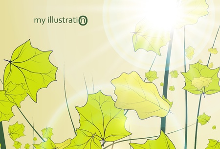 Leaves background, colorful environment leaf, eco illustration eps10のイラスト素材