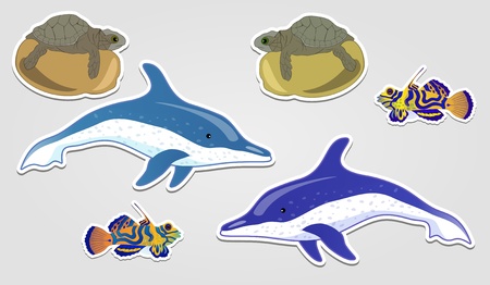 Design elements, badge advertise sticker in the form of a dolphin cartoon turtles and exotic fish eps10のイラスト素材