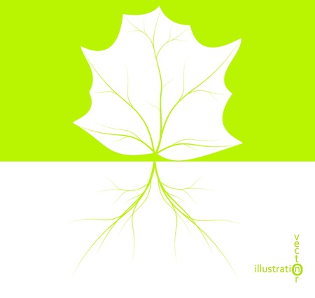 Green leaf with tree roots, eco illustration eps10のイラスト素材