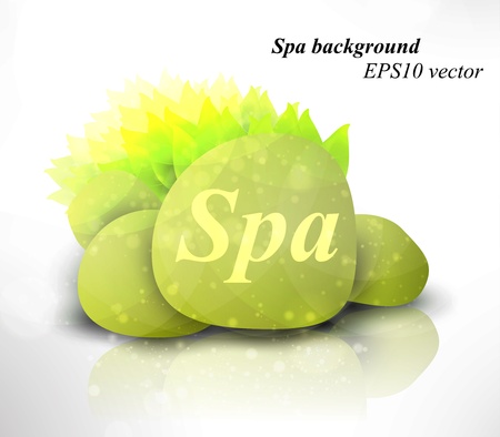 Spa background of stones decorated with leaves eps10のイラスト素材