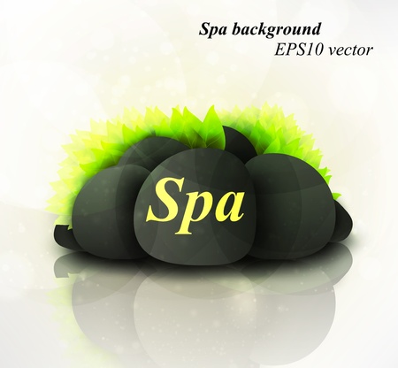 Spa background of stones decorated with leaves eps10のイラスト素材