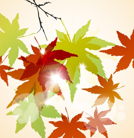 Autumn backgroundの写真素材