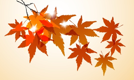 Autumn backgroundの写真素材