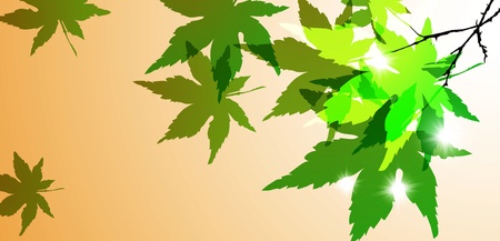 Autumn backgroundの写真素材