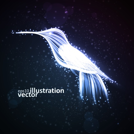 Neon hummingbird, abstract lights vector backgrounds eps10のイラスト素材