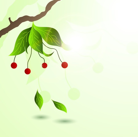 Spring backgroundの写真素材