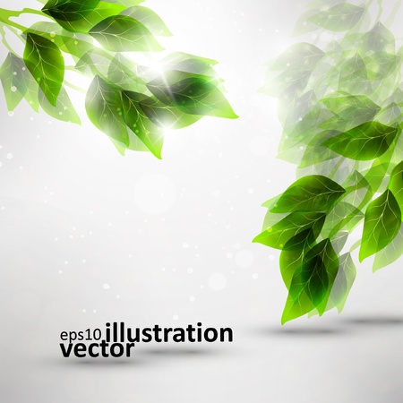 beautiful green leaves, eco background のイラスト素材