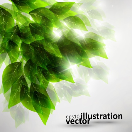 beautiful green leaves, eco backgroundのイラスト素材