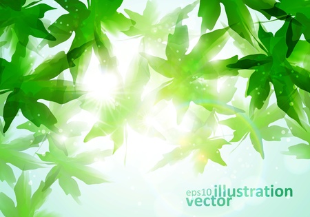 colorful watercolor leaves  Environment leaf background, season poster のイラスト素材
