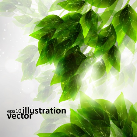 Beautiful green leaves, eco vector background のイラスト素材