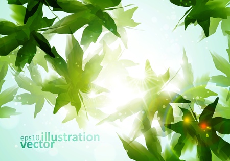 Leaves background, nature season poster.のイラスト素材