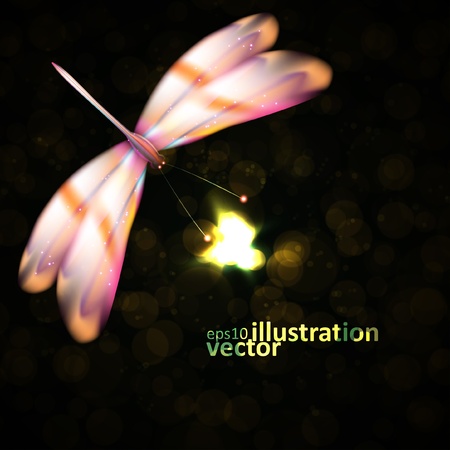 Shiny abstract dragonfly, futuristic colorful vector illustration のイラスト素材
