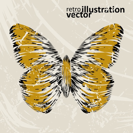 retro butterfly on old background, colorful abstract illustration のイラスト素材