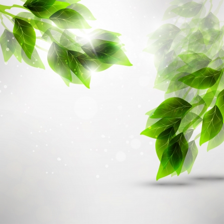 Beautiful green leaves, eco background Beautiful green leaves, eco background