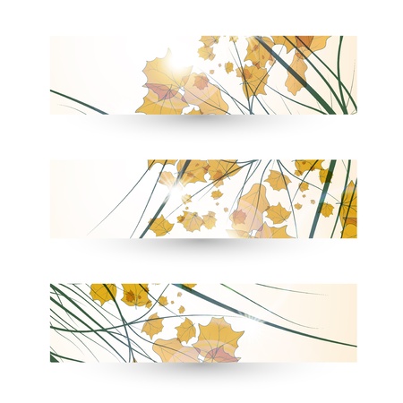 Autumn banner setの写真素材