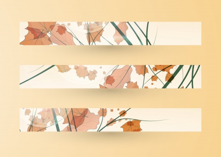 Autumn banner setの写真素材