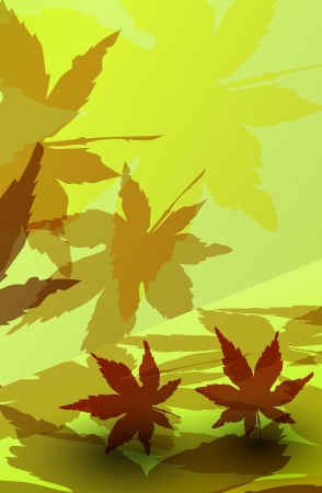 room interior, autumn colorful environment leaf の写真素材