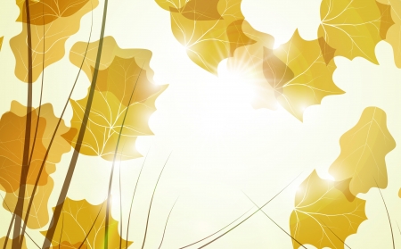 Autumn background, colorful environment leaf, season posterの写真素材