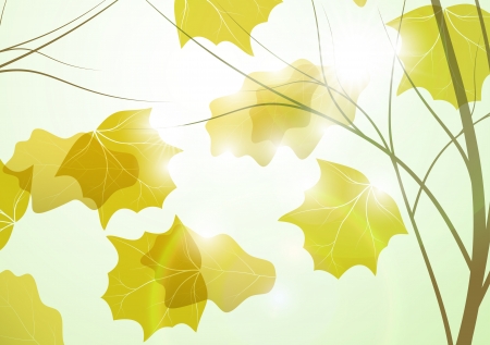 Autumn background, colorful environment leaf, season posterの写真素材
