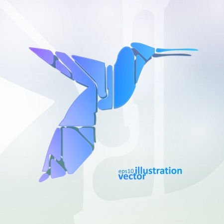 Colorful hummingbird, abstract symbol のイラスト素材