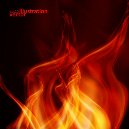 Abstract fire flames on a black background. Colorful vector illustration のイラスト素材
