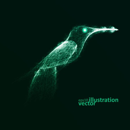 Neon hummingbird, abstract lights vector backgrounds eps10のイラスト素材