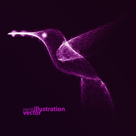 Neon hummingbird, abstract lights vector backgrounds.のイラスト素材