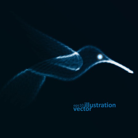 Neon hummingbird, abstract lights vector backgrounds eps10のイラスト素材