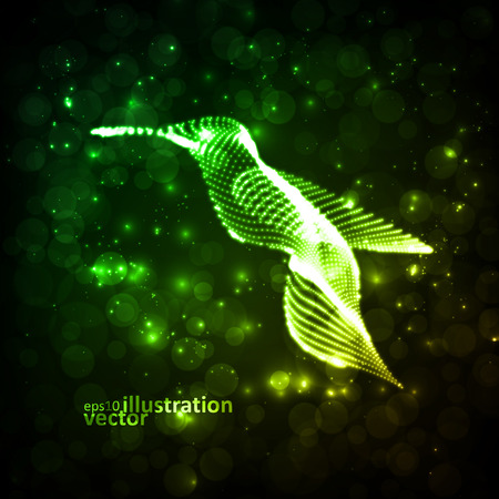 Neon hummingbird, abstract lights vector backgrounds のイラスト素材