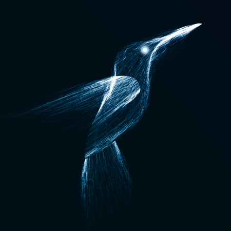 Neon hummingbird, abstract lights backgroundsの写真素材