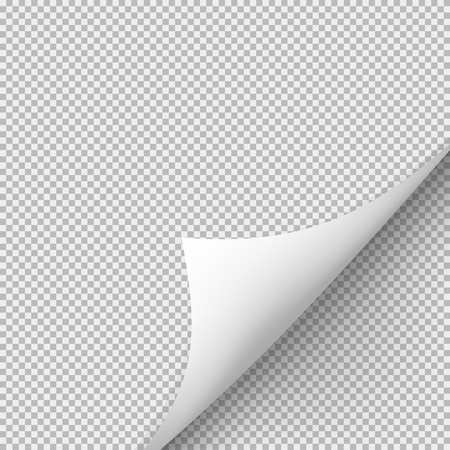 Curled corner of paper with shadow on transparent background. Graphic concept for your designのイラスト素材
