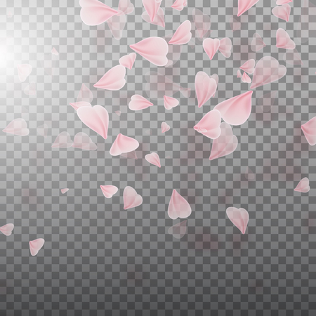 Pink sakura falling petals. Illustration on transparent background. Graphic concept for your design.のイラスト素材