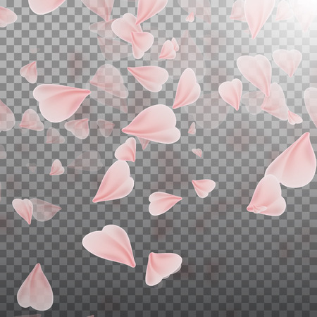 Pink sakura falling petals. Illustration on transparent background. Graphic concept for your design.のイラスト素材