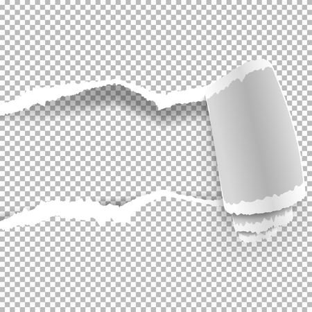 Ripped paper with ripped edges with shadow on transparent background.のイラスト素材