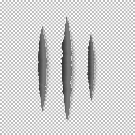 Claws scratches on paper with ripped edges with shadow on transparent background.のイラスト素材