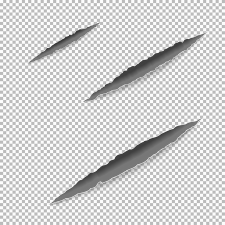 Claws scratches on paper with ripped edges with shadow on transparent background. Graphic concept for your designのイラスト素材