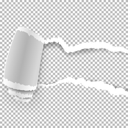 Ripped paper with ripped edges with shadow on transparent background. Graphic concept for your designのイラスト素材