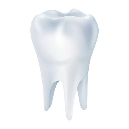 Realistic tooth poster. Illustrations isolated on white background. Graphic concept for your designのイラスト素材