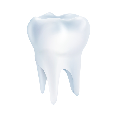 Realistic tooth poster. Illustrations isolated on white background. Graphic concept for your designのイラスト素材