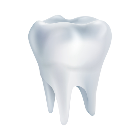 Realistic tooth poster. Illustrations isolated on white background. Graphic concept for your designのイラスト素材