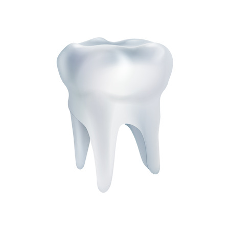 Realistic tooth poster. Illustrations isolated on white background. Graphic concept for your designのイラスト素材