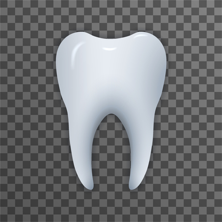 Realistic tooth. Illustration isolated on transparent background. Graphic concept for your design のイラスト素材