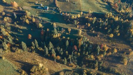 The forest trees from the top view. Aerial view from a drone. Ukraine.