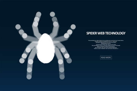 Spider hacker attack danger. Data safety antivirus concept. Big data protection from cybercrime. Graphic concept for your designのイラスト素材