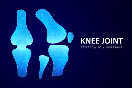 Abstract polygonal knee-joint. Low poly wireframe style. Graphic concept for your designのイラスト素材