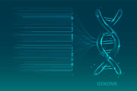 Big genomic data visualization. DNA test, genom map. Graphic concept for your designのイラスト素材