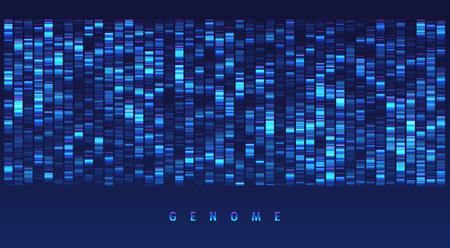 DNA genomic test, genome map. Big data visualization. Abstract infographic representation. Graphic concept for your designのイラスト素材